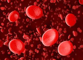 Image of blood cells